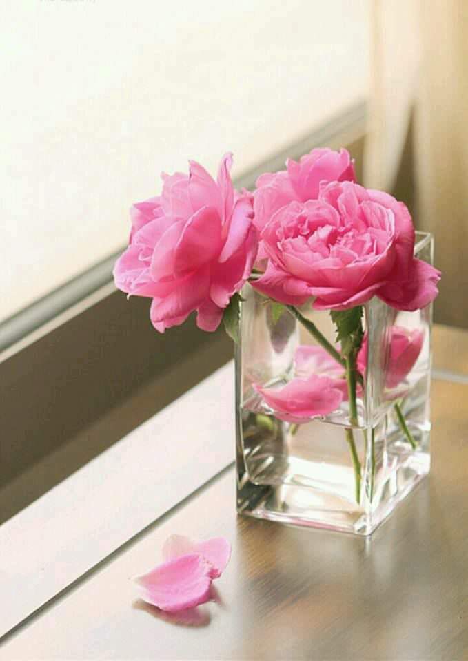mesy3885's tweet photo. إذا لم يكن لديك شيئاً تعطيه للآخرين

فتصدق بالكلمة الطيبة، والإبتسامة الصادقة، وخالق الناس بخلق حسن

كلمة واحدة منك تقال في وقت مناسب

قد تغير فكراً، تحيي أملاً، ترسم بسمة، وتجلي هماً،
فلا تبخل بذلك . https://t.co/k9EQWrmJXy