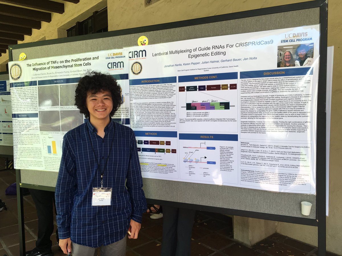 view proteolytic and cellular mechanisms in prohormone and proprotein processing molecular biology intelligence