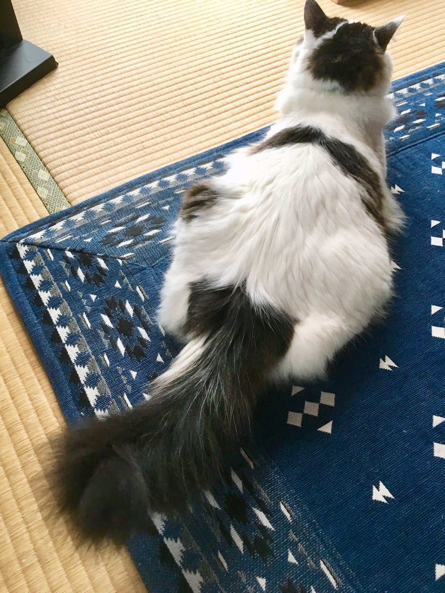 ホームセンタームサシ久喜菖蒲店