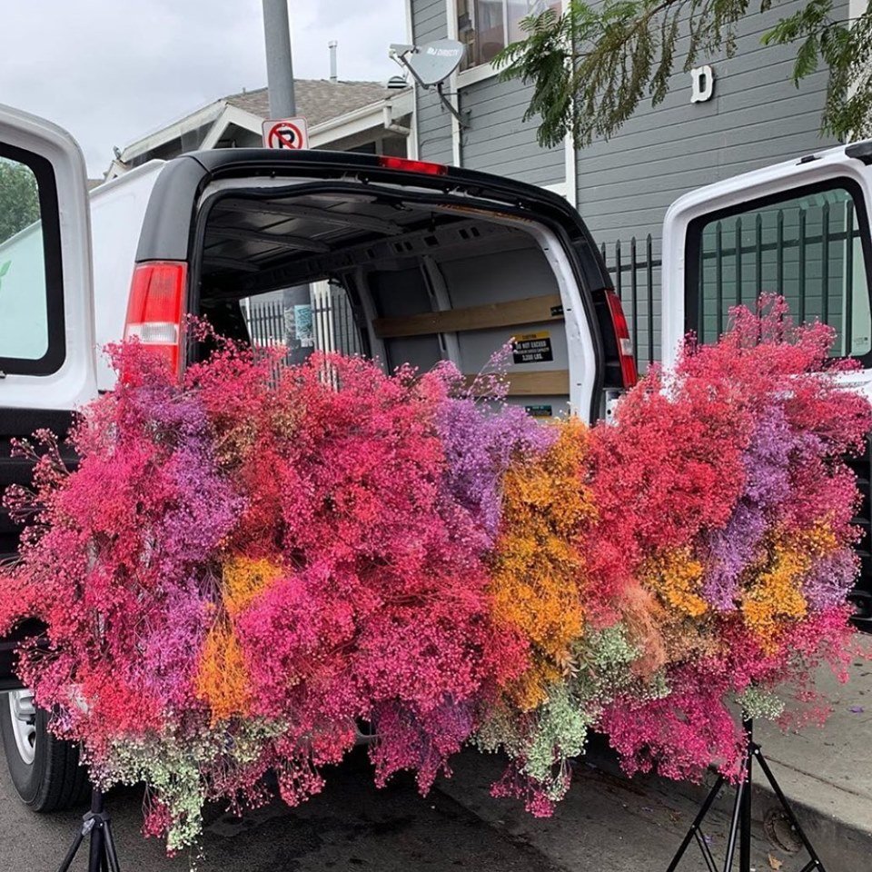 Bradley_Beck's tweet image. From the weekend with @undernewmgmt got their COLORTOOL &amp;amp; Just For Flowers funk on with... 
*Fuchsia Bright
*Pink Glow
*Hyacinth
*Osiana Peach 
 #colortool #justforflowers