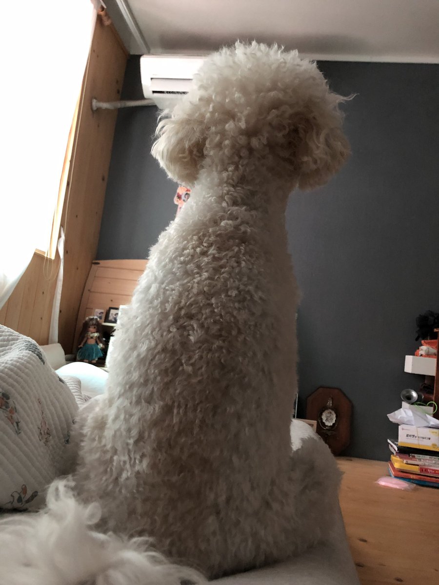 먼산~~~~~~~~~