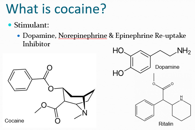 stephenjbright's tweet photo. Looking forward to doing #cocaine today :P #ADS1252 #drugs https://t.co/ITe5b229GZ