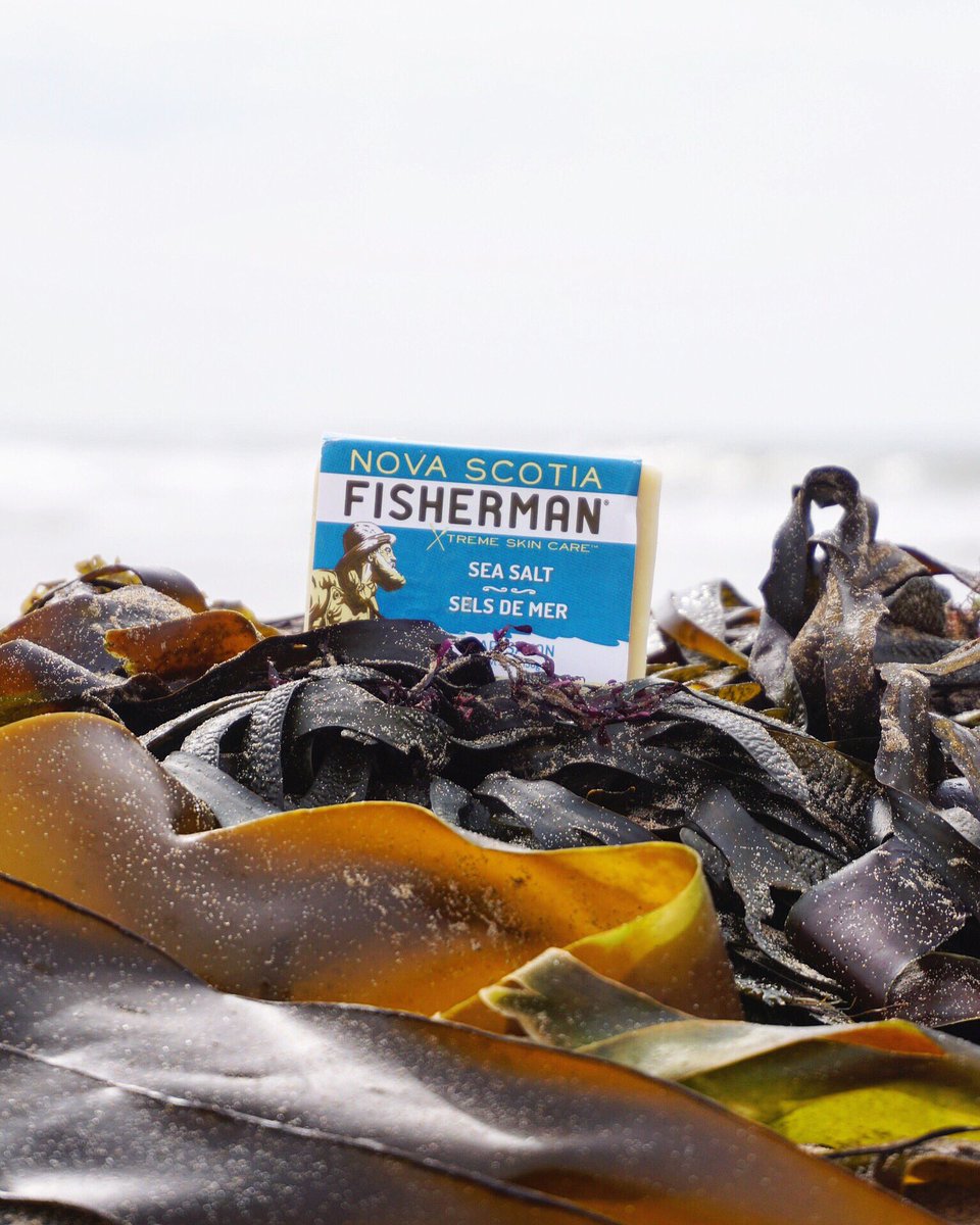 NSFisherman's tweet photo. Simple & Powerful ⚓️ Like The South Shores of Atlantic Canada.. Nova Scotia Sea Kelp, Atlantic Sea Salt, Olive Oil, Coconut Oil, Vitamin E. @NSFisherman
#seasaltsoap #seakelp #healthyskin #naturalskincare https://t.co/w58JEqRz7f