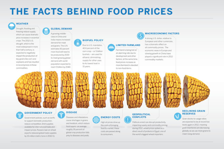 The Facts Behind Food Prices