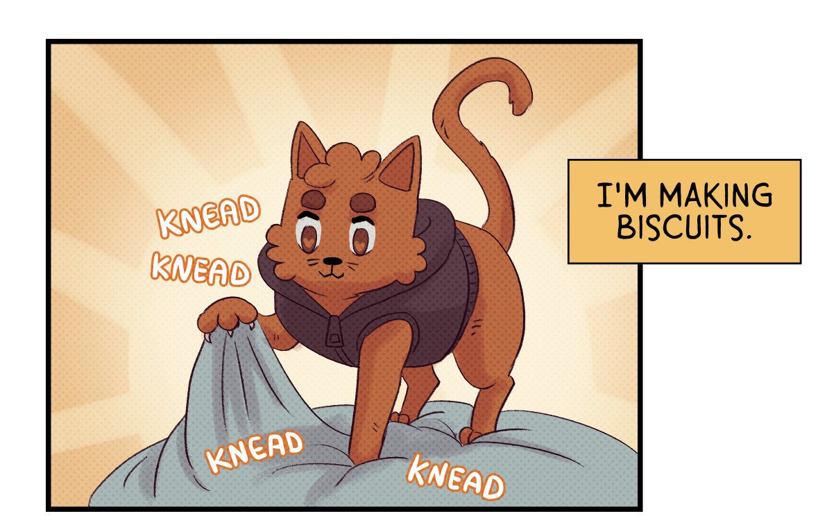 Important comic update where Rainy does all the cat things #sunnyrainy Read here: https://t.co/NU9e91d5Wq 