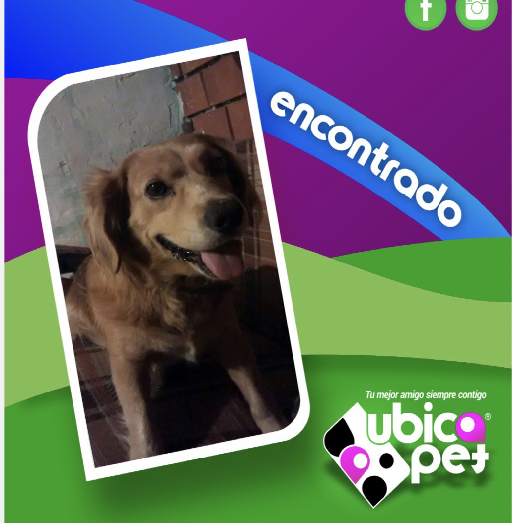 UbicapetMexico's tweet photo. E333
ATENCIÓN
MAGDALENA CONTRERAS
COLONIA SAN JERÓNIMO LÍDICE
URGE LOCALIZAR A SU FAMILIA
Cruza de Cocker Spaniel, de aprox. 7 años macho.
Collar piel con tejido blanco y café
@ubicapetmexico al 5538181314
o con Jennifer
al 5576332937 RT🙏🏼
#cockermix
#encontrado https://t.co/eBR8eFwNIZ