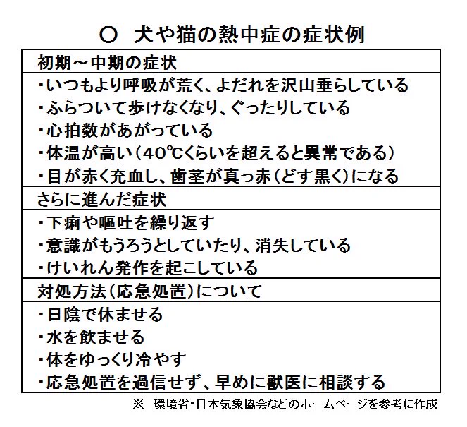 人間だけじゃない！？ペットも熱中症になるので注意！