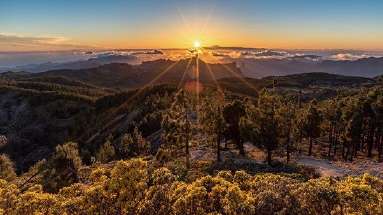 selemachin's tweet photo. Quien te quiere hacer daño no sabe de la vida y tú, Gran Canaria, tienes mucho que ver con ella. Tu belleza es única y el orgullo que siento por ser de aquí está por encima de todo 🇮🇨 ¡NO VAN A PODER CONTIGO! #IFGranCanaria https://t.co/x27BVQeiAM