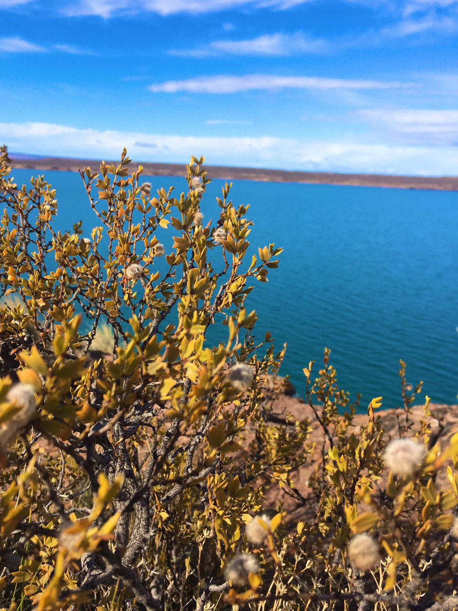 Francesca Cecotti tweet media