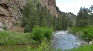 RockiesProject's tweet photo. Colorado College: 2019 Conservation in the West Poll — The 9th Annual Survey of Voters in the Rocky Mountain West https://t.co/qTHucAifHI https://t.co/lE3dPc0GCz