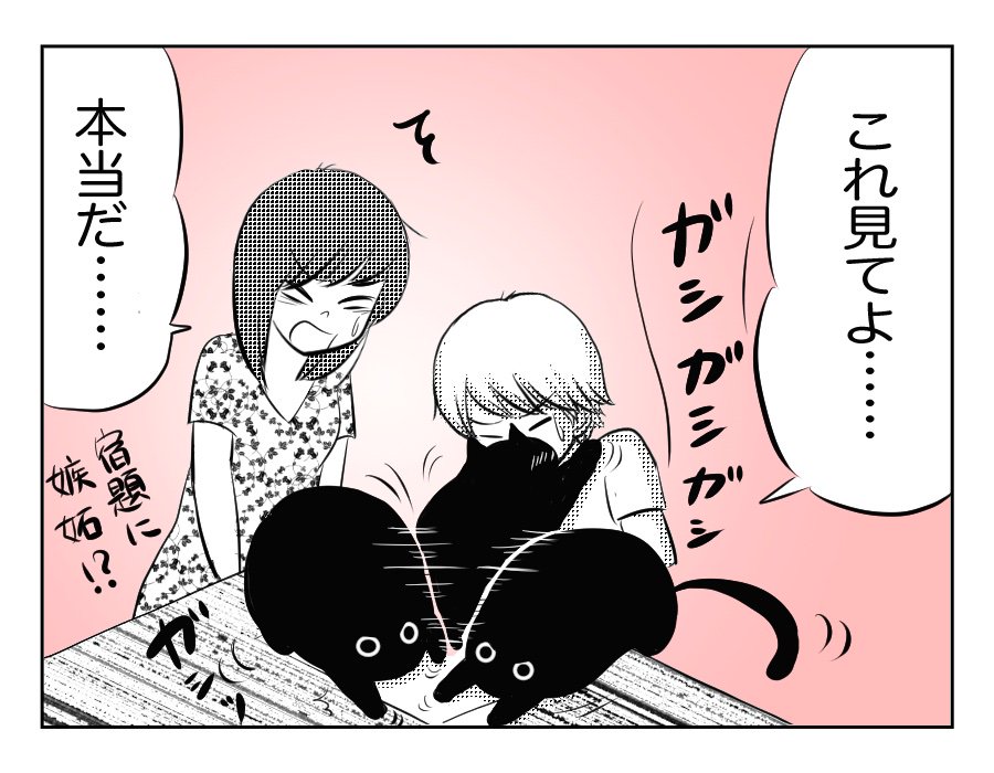 「10歳の息子と猫」(4コマ)
9話・10話更新しました!(隔週火曜日更新)#息猫 #夏休み
夏休みの宿題と花火大会のお話です!
宿題ができない、花火大会に行かない…理由とは。
https://t.co/rx8pgTqBcy