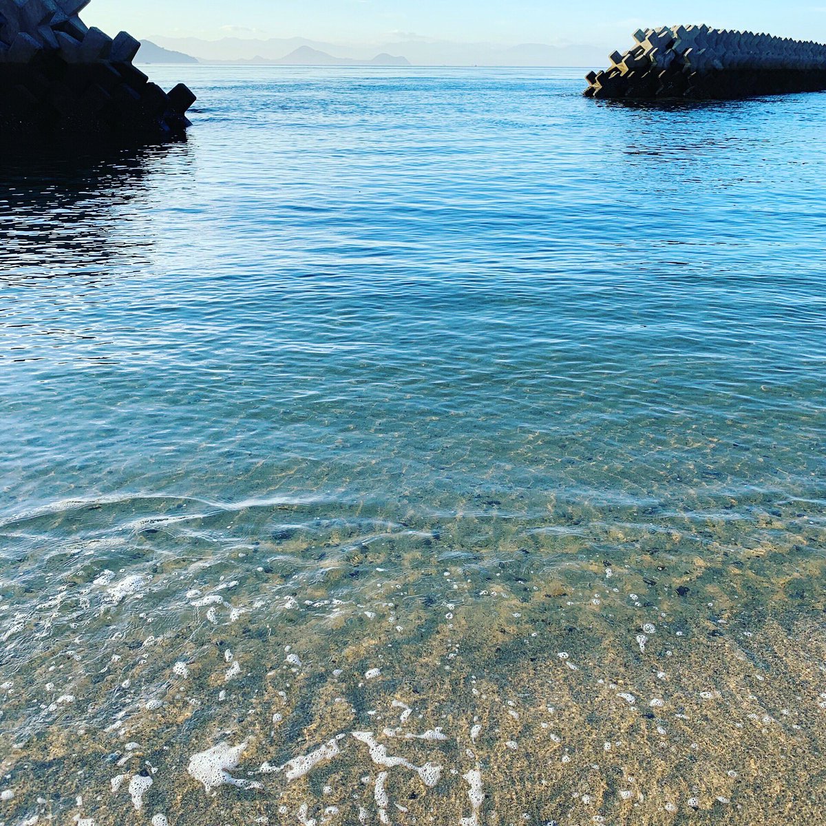 海と日本プロジェクトinえひめ 怒和島の海 最高に綺麗でした 海と日本プロジェクト 愛媛 俳句合宿 8月30日オンエア 南海放送テレビ