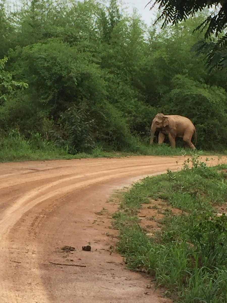 Fallon Loves Nature tweet media