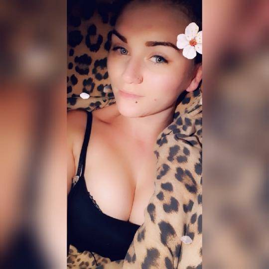 17Squirrel's tweet photo. Live broadcasting community
https://t.co/zTPoBvF4dk https://t.co/npWyOAh9zl