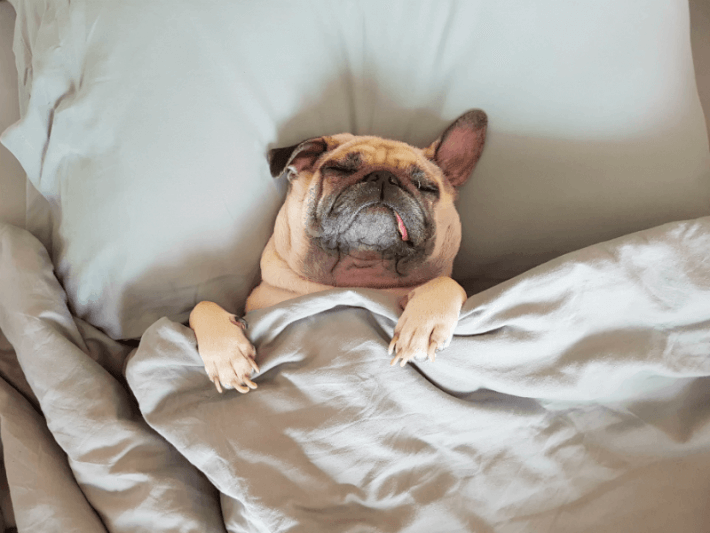 MattressFair's tweet photo. Back to school and Labor Day plans can be exhausting, but there is still plenty of summer left to enjoy! What do you plan on doing with your last days of summer? https://t.co/fYlM302Z4C