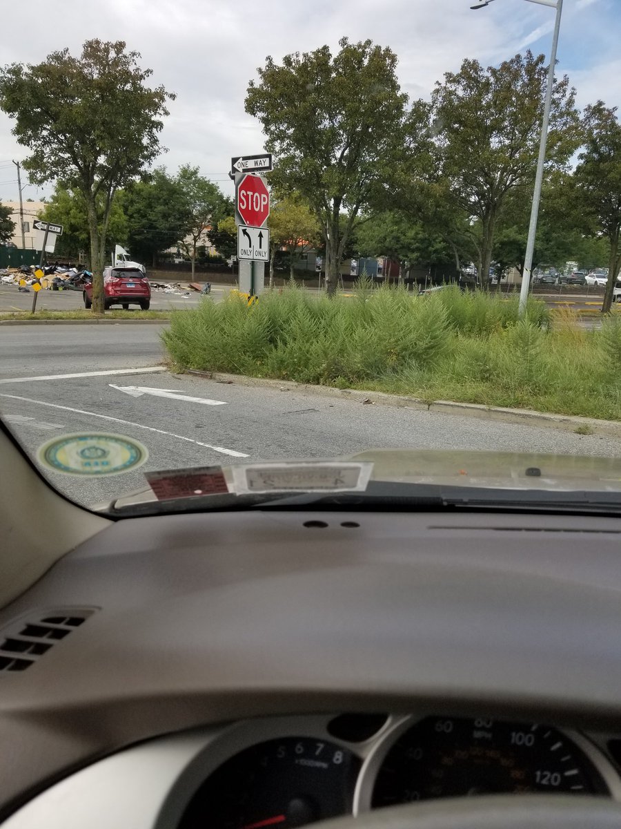 LuckyAl761's tweet photo. @News12BX can someone report about this. I-95N Gunill rd exit ramp going towards the closed Pelham diner stop sign. Tall weeds obstructing fast on coming traffic. Very dangerous!! DOT/ Sanitation. @NYCSanitation @nyc311 @MarkGjonajNY https://t.co/hKhamU5Aio