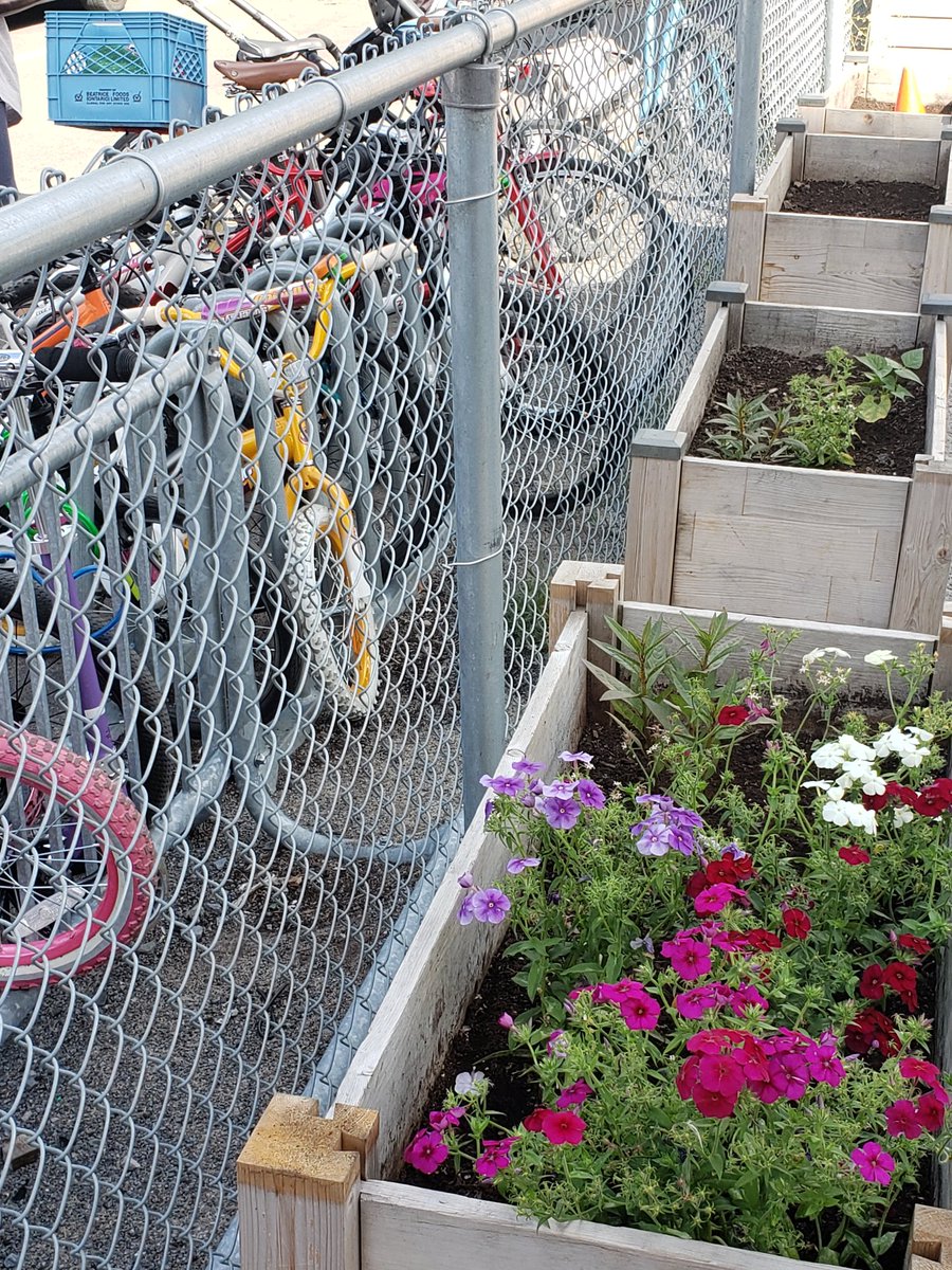 Danielle Chatelain tweet media