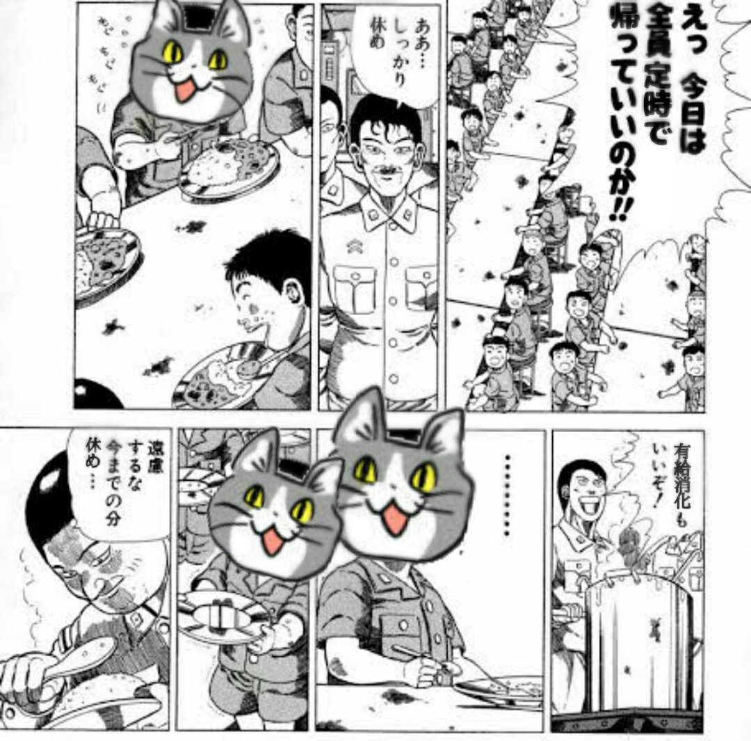 からあげのるつぼ えっ今日は全員定時で帰っていいのか 現場猫 T Co 9ilu0yedk7 Twitter