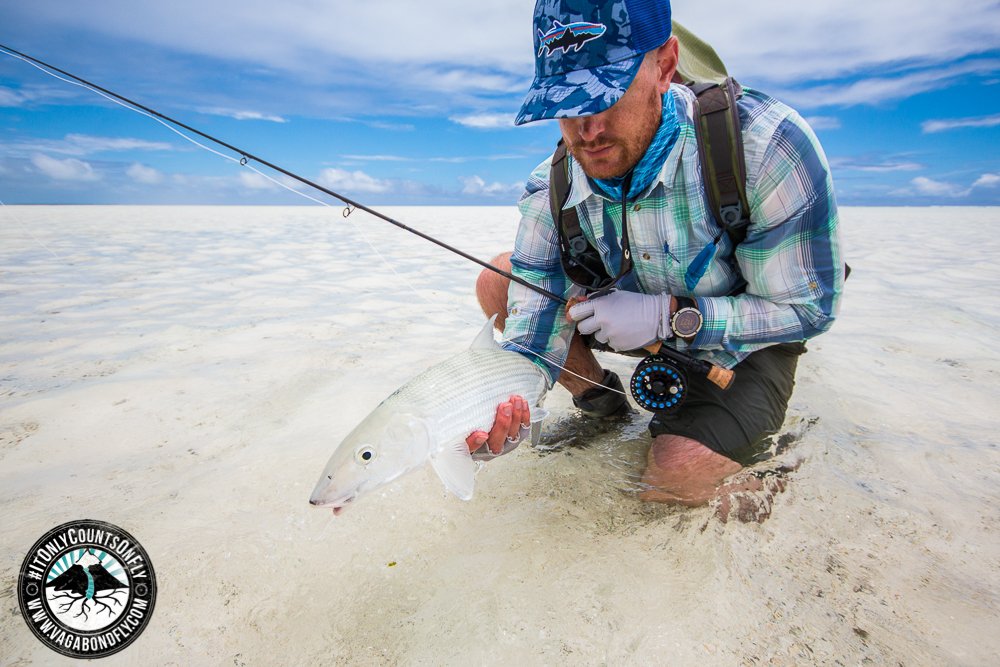 VagabondFly's tweet photo. Connected! This is living... its not always the fish, is not always the people, its not always the place. But it is always the combination. Go look for it! 
#purposefullylost #itonlycountsonfly https://t.co/yCGH8VX2nI