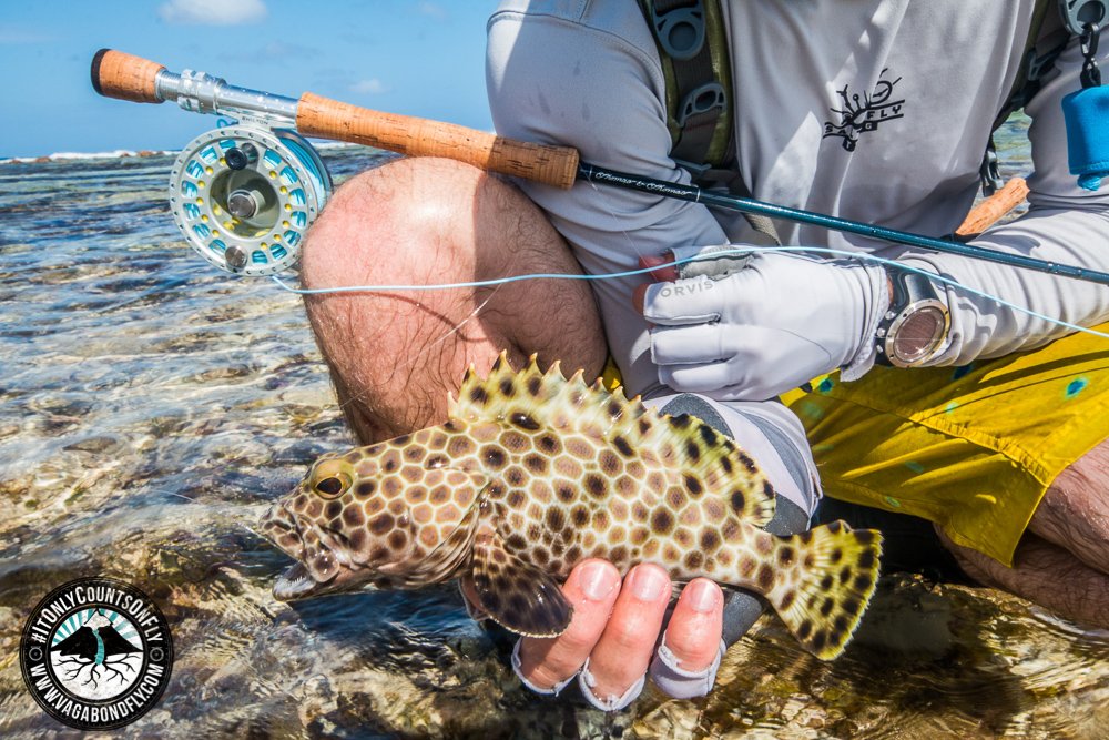 VagabondFly's tweet photo. Connected! This is living... its not always the fish, is not always the people, its not always the place. But it is always the combination. Go look for it! 
#purposefullylost #itonlycountsonfly https://t.co/yCGH8VX2nI
