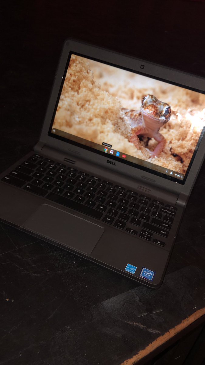 It's chromebook rollout week! Bring your $20 usage fee so you can have your chromebook today!  <a href="/wfcollegeready/">WF Legacy High School College & Career</a> <a href="/wfhs_coyotes/">WFHS COYOTES</a> <a href="/PtsoWfhs/">WFHS PTSO</a> <a href="/WFHSBigRedBand/">WFHS Big Red Band</a> <a href="/WFHSTennis1/">WFHS Tennis</a>