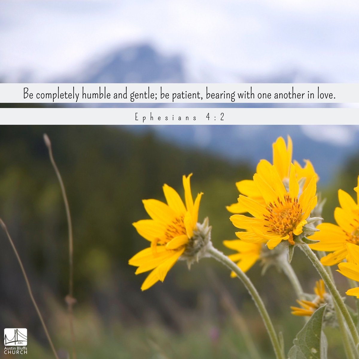 ABCChurch_cos's tweet photo. Be completely humble &amp; gentle; be patient, bearing with one another in love. #Ephesians #Ephesians4v2 #humble #patience #love #livingforagrandervision #makingobstaclesirrelevant #abcchurchcos #colorado #coloradosprings https://t.co/wTXE2b4IvD