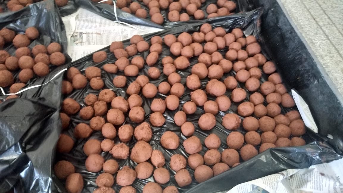 unitedwayhyd's tweet photo. We spent a fruitful afternoon with volunteers of @GEP_Worldwide who are celebrating green initiatives week across all their offices. 100+volunteers prepared 1755 seed balls in 2 hours &amp; pledged support towards environmental sustainability. #liveunited #unitedwewin #environnement https://t.co/YcPqrw0F84