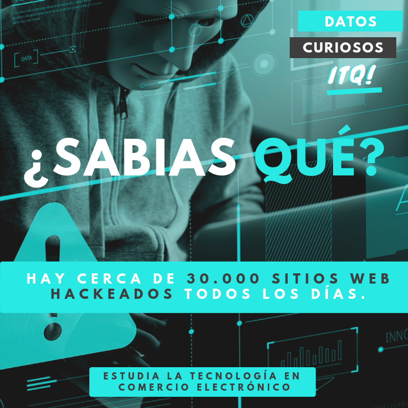 InstitutoQuito's tweet photo. El #Internet es sin duda parte de nuestra vida, 😎💻 lo utilizamos constantemente pero hay muchas cosas que desconocemos de él, sin embargo puedes aprender como manejar correctamente una web, estudiando Comercio Electrónico. 🤗
Ven al ITQ! 
👉https://t.co/eMhlY7Ggxy y empieza hoy https://t.co/ZRrYXtLV1x