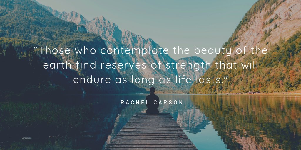 #nature #naturelovers #beautifulnature