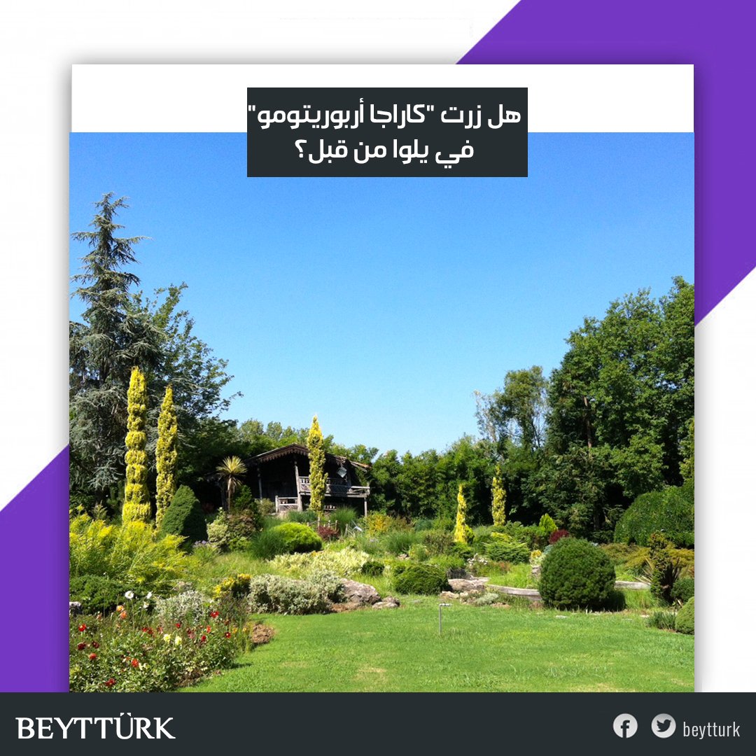 هل زرتم الاماكن السياحية في يلوا؟
هل استمعتم بالمناظر الطبيعية الخلابة
نضع بين يديكم أفضل الاماكن السياحية في يلوا.. حيث الهدوء ورخاء الاعصاب