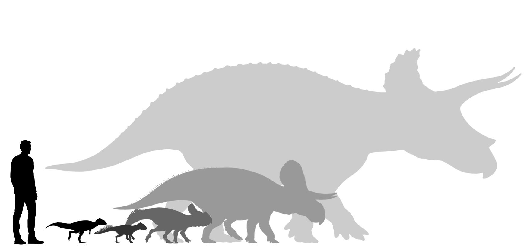Coevolution Predator Julio the Artist 🦕🌿 on Twitter: