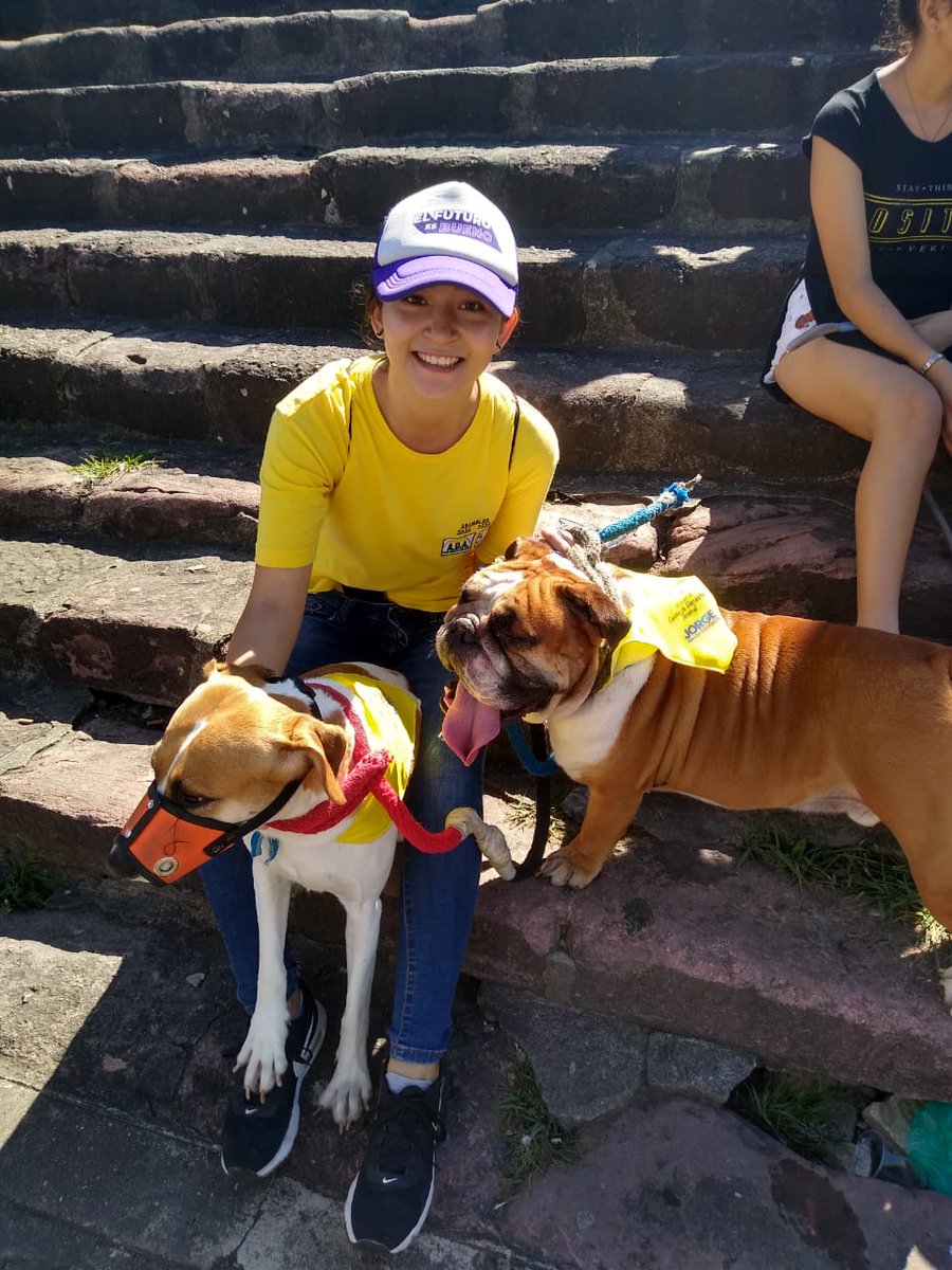 LuzAsamblea's tweet photo. En la caninaton con nuestros amigos peluditos, apoyando el centro de bienestar animal en Piedecuesta #Unaluzparasantander #Jorgenavasgranados #ADA57 https://t.co/pVv00Ed1s8