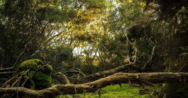 Environmental education will shape a new generation of decision-makers. #outdoored #stepintonature ow.ly/xuEI30pqnBp