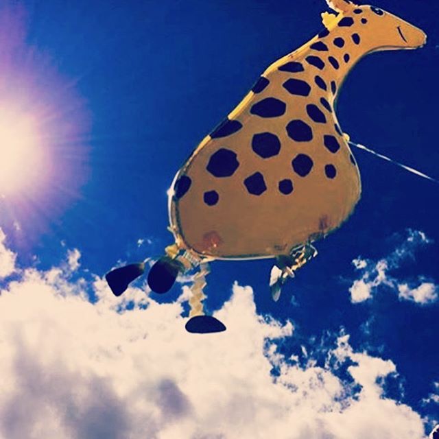 Chilled in a Field 🐌 tweet media