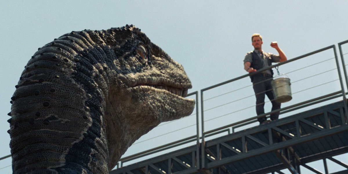 Jurassic Vault Pa Twitter Blue This One S For You Owen Grady T Co Ezd913azlu Jurassicworld 4k Blue Velociraptor Owengrady Chrispratt Islanublar T Co Nrlbwa7agp