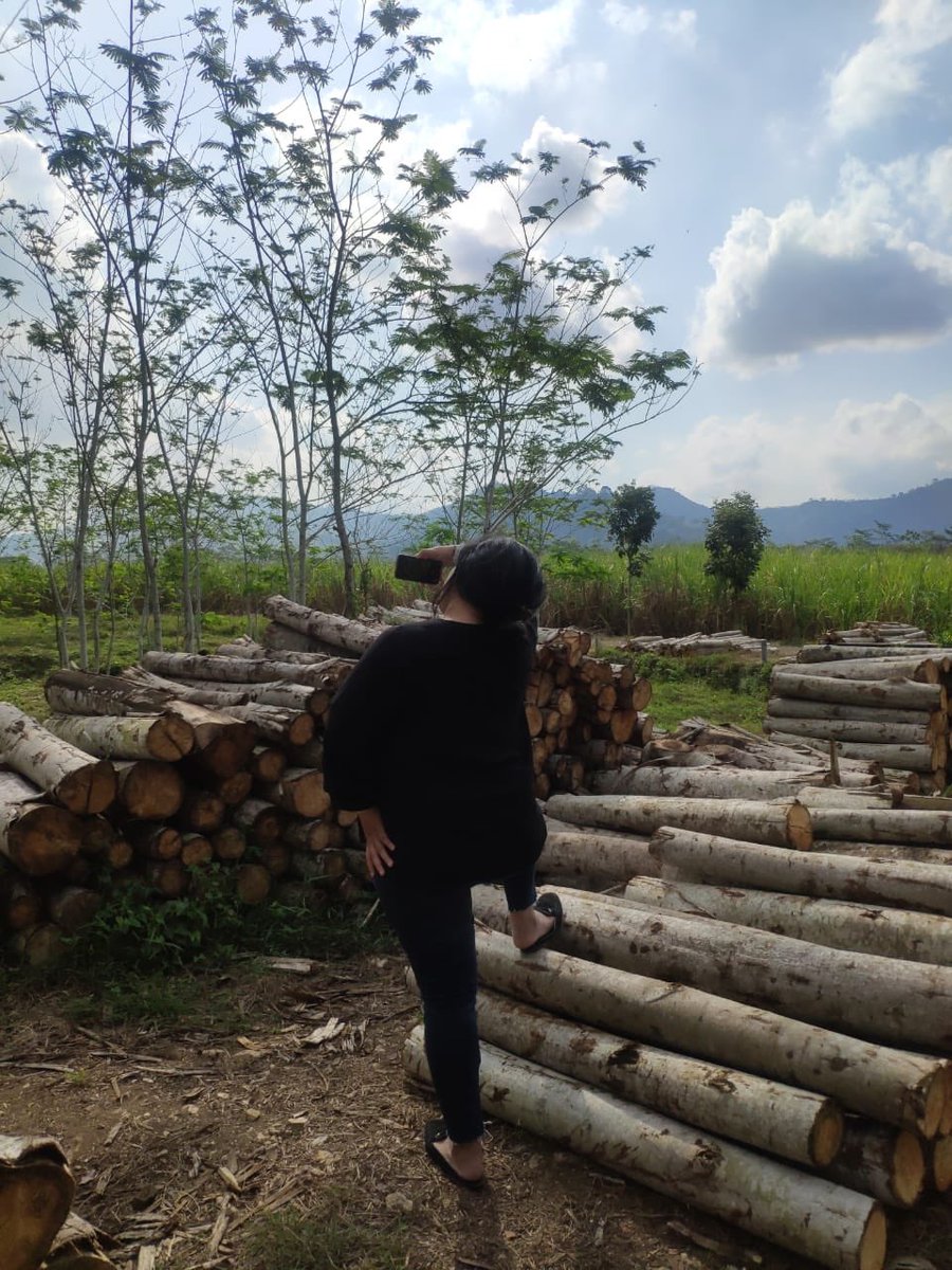 inilucky's tweet photo. Melarikan diri siang- siang, teler kemudian. https://t.co/PcEFEAG8Sg