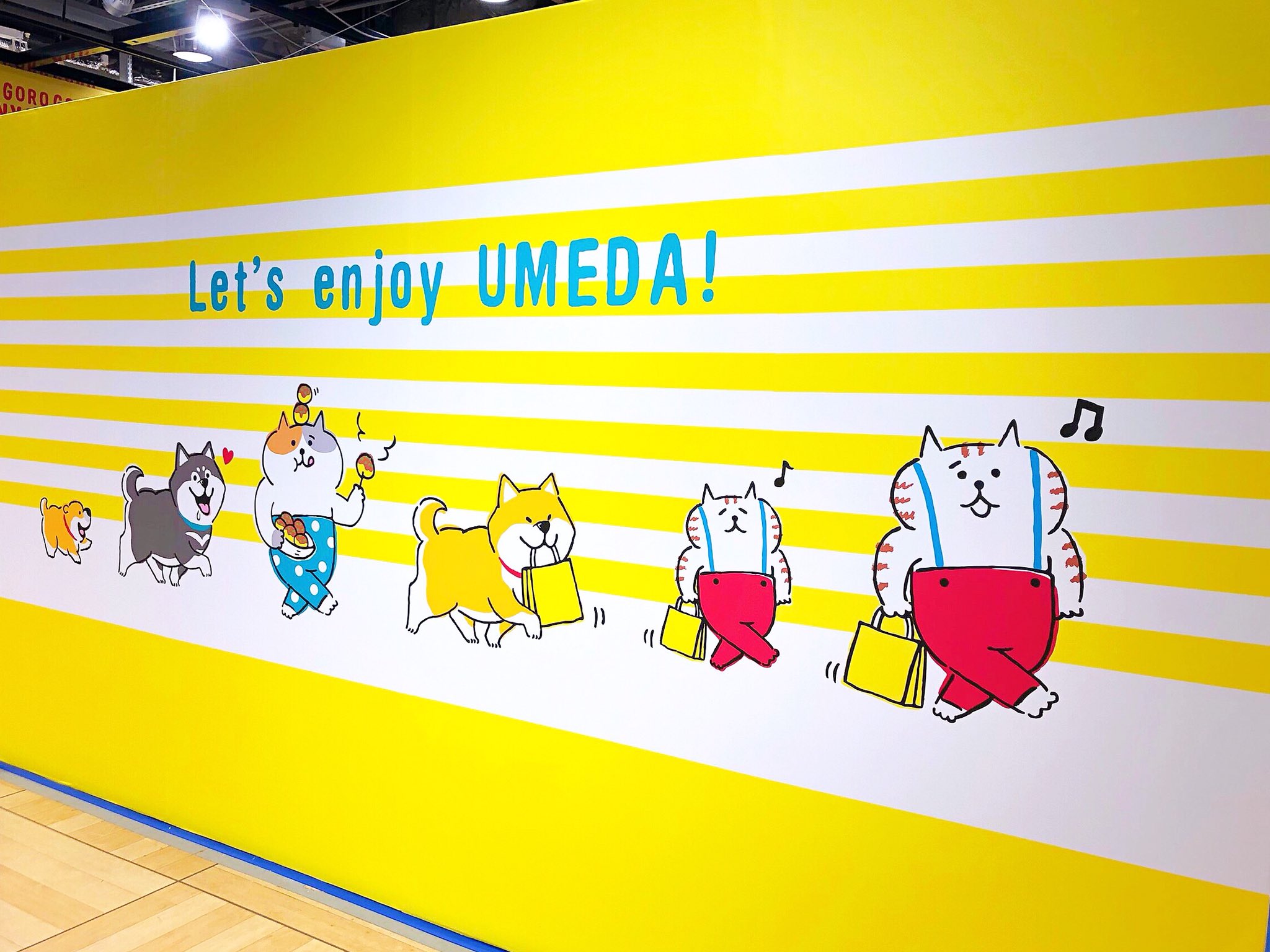ごろごろにゃんすけ 公式 梅田ロフトのようす1 ついにはじまりました関西最大級のしばんばん Amp にゃんすけ Pop Up Store サイン会やアンケートで希望が多かったものをたっくさん商品化しました お近くの方はぜひ遊びに来てね 期間は8 27
