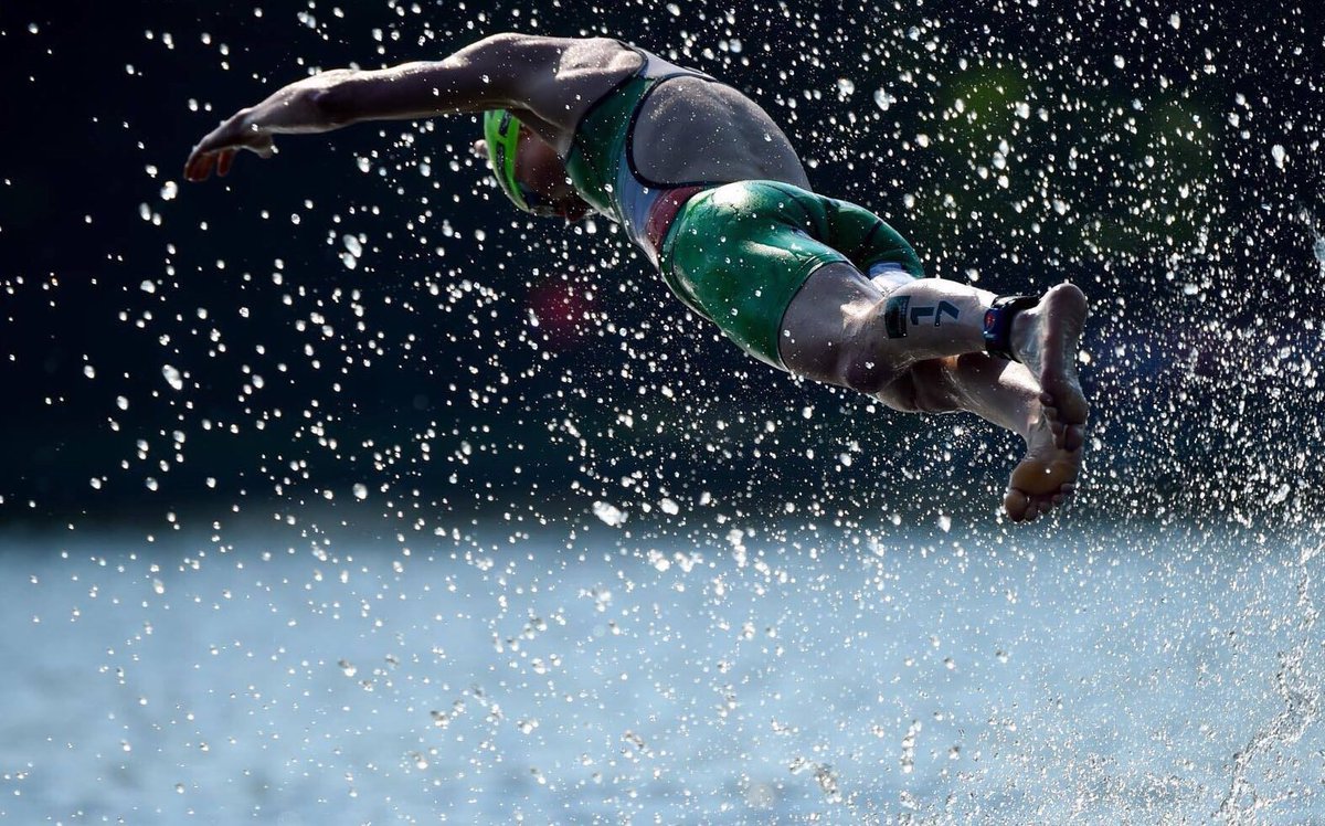 Carolyn Hayes tweet media