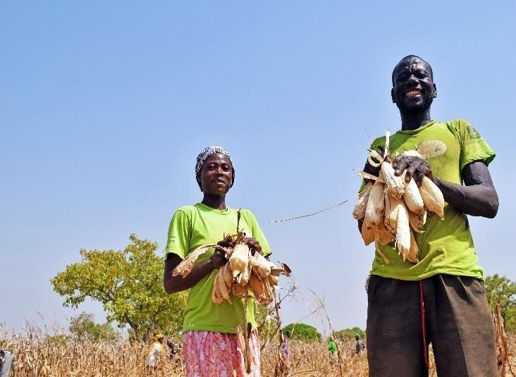 Solidaridadnetw's tweet photo. Read how @Solidaridad_wa's Sustainable Maize Programme   worked to involve more women in maize production to improve food security, in gender programme officer Nafisatu Yussif's new blog post:
https://t.co/kMLuMOlMAc https://t.co/dVCVN3FMII