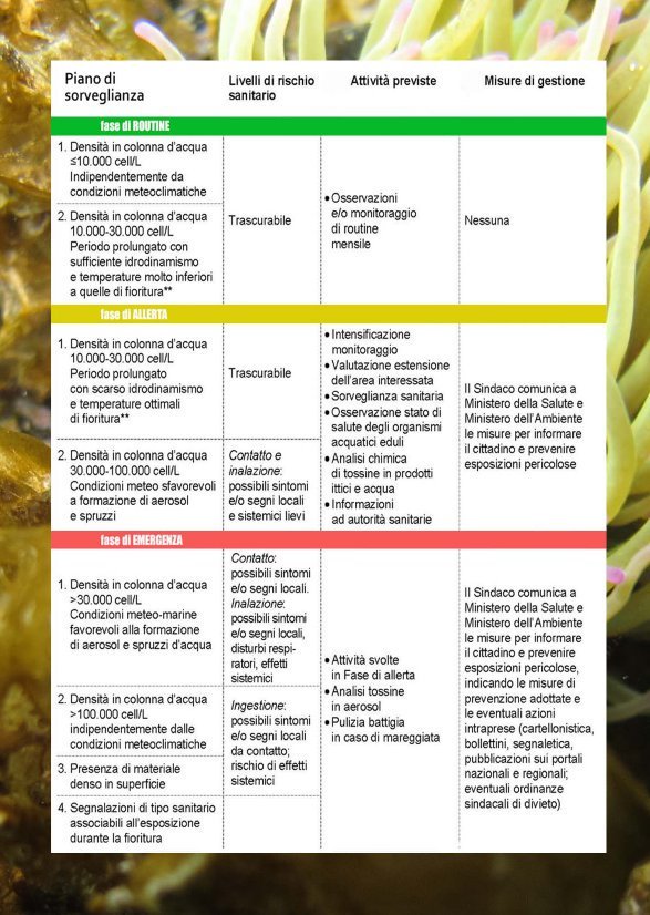 ARPALazio's tweet photo. L'#OstreopsisOvata è spesso presente lungo le nostre coste. Cos'è? Che effetti ha sulla salute? Come si tiene sotto controllo? Risposte in brochure @ArpaMarche utile anche nel #Lazio
@minambienteIT @MinisteroSalute @SNPAmbiente @ISPRA_Press @RegioneLazio @Roma @guardiacostiera https://t.co/EcSC3Llwlg