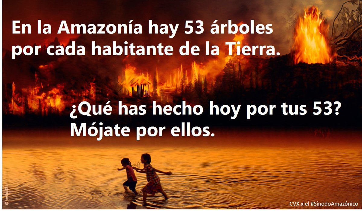 fervidal31's tweet image. En la Amazonía hay 53 árboles por cada habitante de la Tierra. ¿Qué has hecho hoy por los 53 que te toca cuidar? Mójate por ellos. #amazonasenllamas #AmazonasSOS @redamazonia @mauloco29
