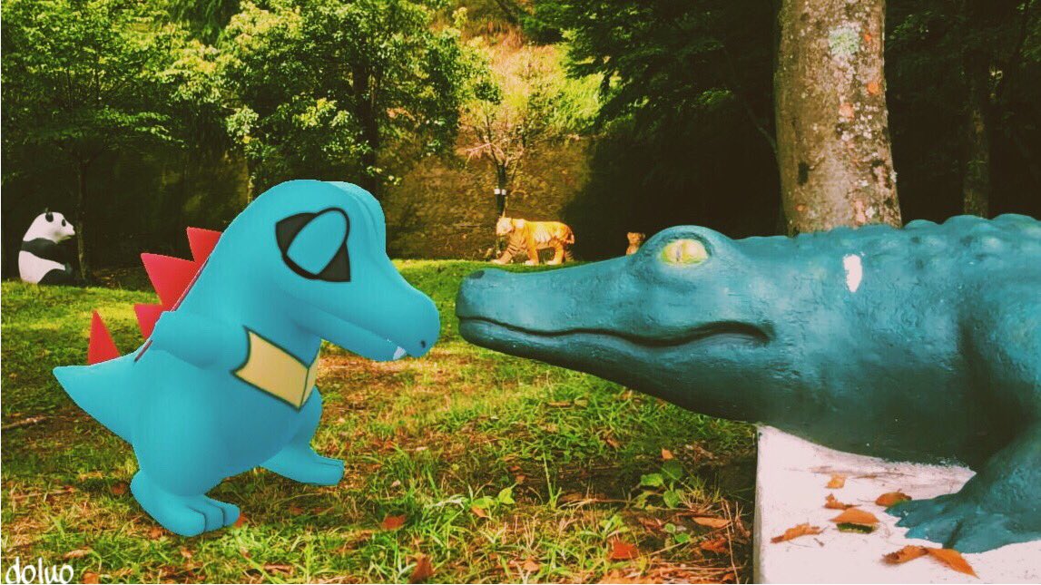 どるお Pokemongoar 第五世代には新たなるワニ メグロコ なるポケモンがいます ワニノコとは違いカイマン系の見た目をしています そう ちょうどこんな感じの顔やった気がするわw 仲良くしてね ワニノコより ポケモンgo Pokemongo