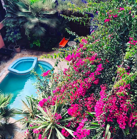 ShakaSurfMoroc's tweet photo. M O R N I N G
V I E W S πΏ
#surfholiday #surfriad #surfschool #surfcamp #blueskies #surfsessions #coloursofmorocco #tamraght #moroccanriad #morocco #moroccanaccommodation #surfstyle #palms #interiors #courtyards #shadows #midweek #light #nature #interiorgardens https://t.co/ADVcgNqGDW