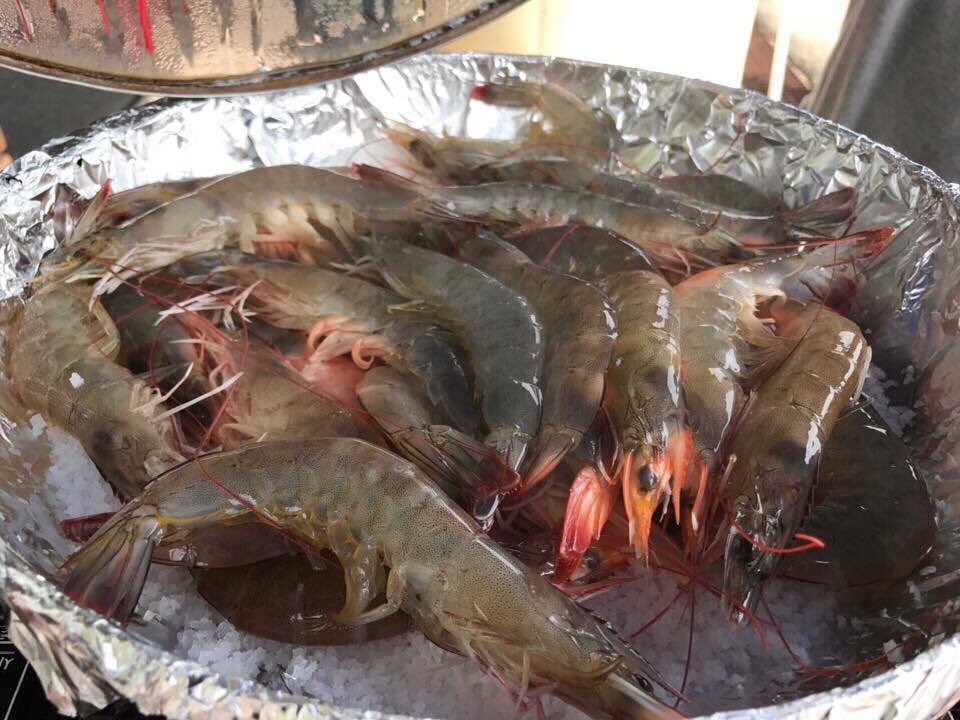 #천수만
서해안 바닷길을 따라 넓게 펼쳐진 천수만 간척지 일대를 드라이빙을 즐기면서~~ 🚘🌤✨
드넓은 바다에 비친 눈부신 햇살이 아름답게 보여 한컷담아 보았네용~~ 🐬💦
남당항에서 가을 제철을 맞아 살이 토실토실하게 오른 싱싱한 대하구이를 마음껏 먹고 왔네요^^ #서산
