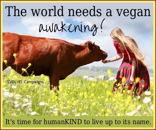 VanillaVegan's tweet photo. #NationalBeKindToHumankindWeek https://t.co/Me562N7yCK