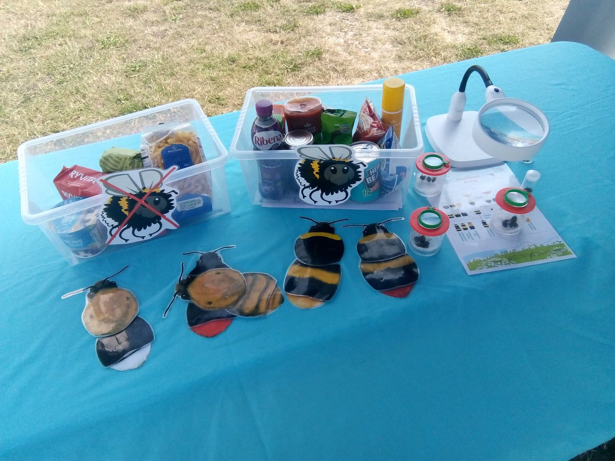 BuzzingCoast's tweet photo. Today we are with the brilliant team at @Sheppey_Matters at an allotment fun day! Exploring the foods that bees pollinate and looking at the bumblebees using the allotments. We were very excited to find Shrill carder bee on our first walk #rarebumblebeealert @BumblebeeTrust https://t.co/EFVviT4FZx