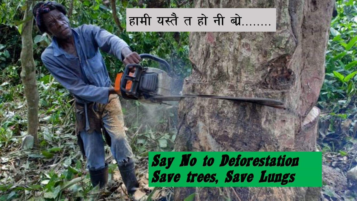 RashmeeShakya's tweet photo. NaomiAklein
@justinHGillis
@SasjaBeslik
@Asteiner
@PEspinosaC
@MikeHudema
@ErikSolheim
@climate_ice
@mzjacobson
@billmckibben
@johnupton
@GeorgeMonbiot
@aljore
@AssaadRazzouk
@EricHolthous
@MichaelEMann
@KHayhoe
@blkahn
@MarkRuffalo
@AOC
@BernieSanders 
@ewarren
@AndreaLearned https://t.co/ekG8OAhTMS