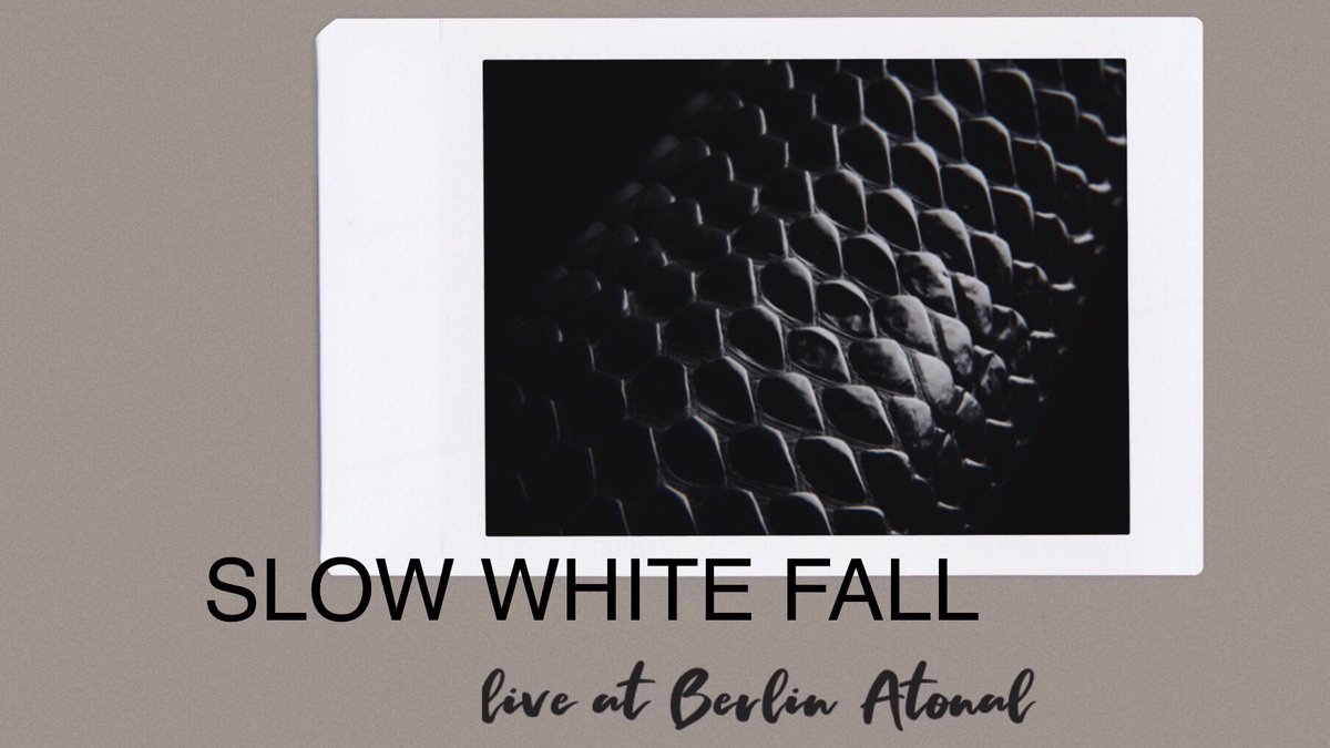 oliver ho tweet media