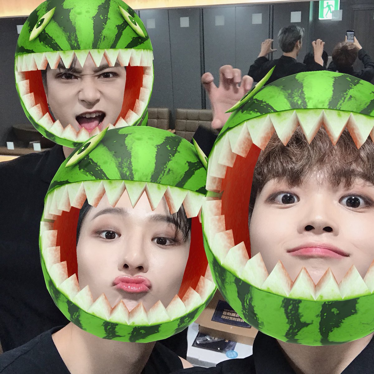 X1members tweet media