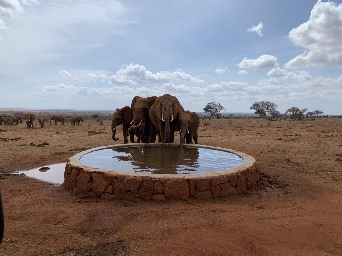 You <a href="/AnttiRinnepj/">Antti Rinne</a> wouldn’t send your children overseas to live a lifetime in captivity, so don’t support export of live elephants - sentencing self-aware beings to be torn from families &amp; imprisoned in zoos. Not too late for <a href="/EU_Commission/">European Commission</a> to act for elephants at #CITES #COP18